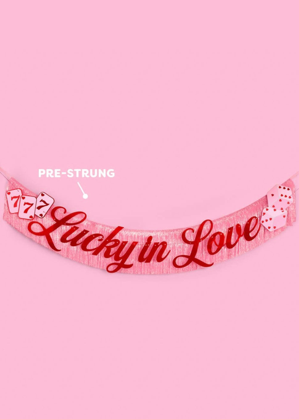 Lucky In Love Bachelorette & Bridal Party Banner