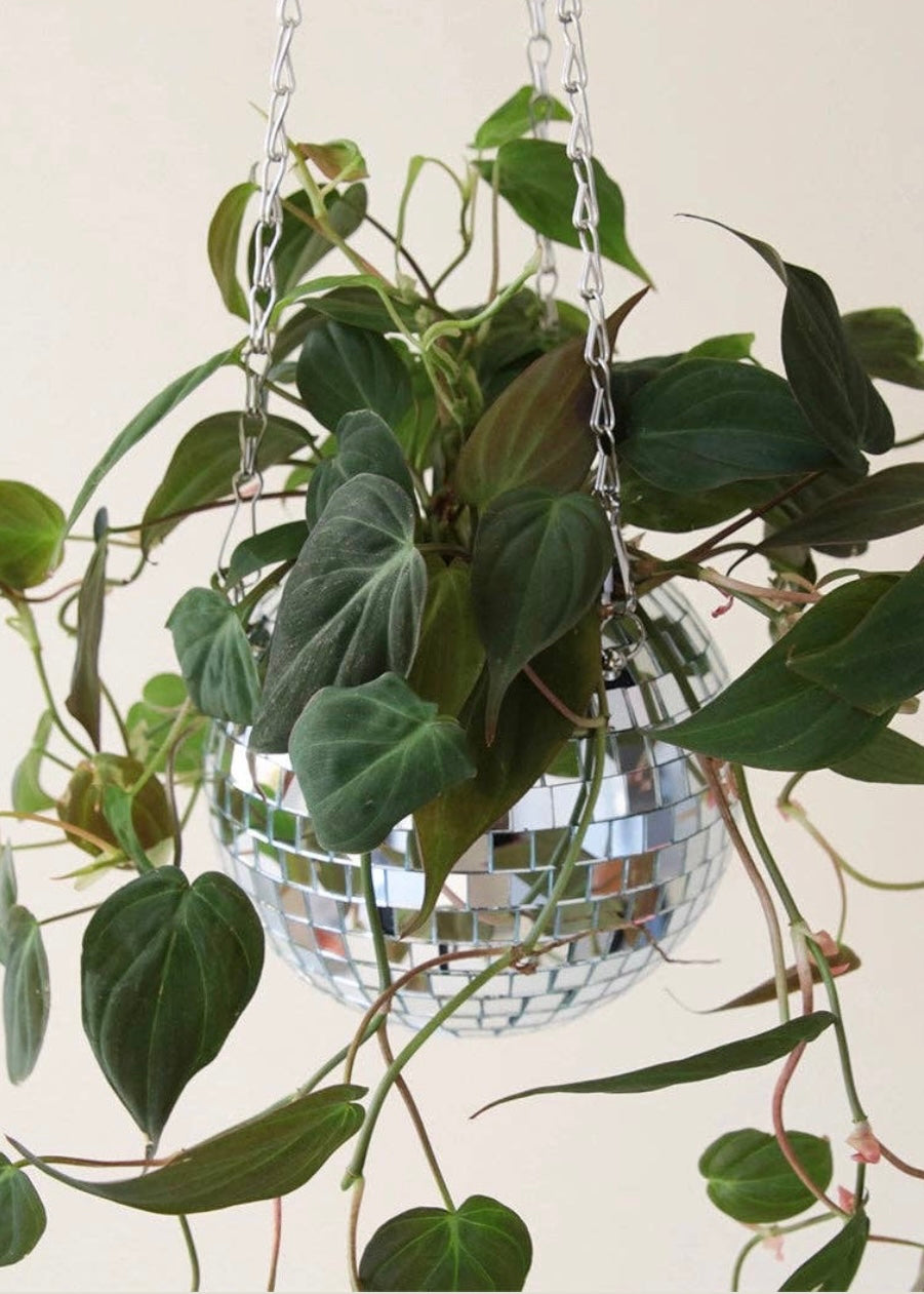 Dancing Queen 8" Disco Ball Hanging Planter