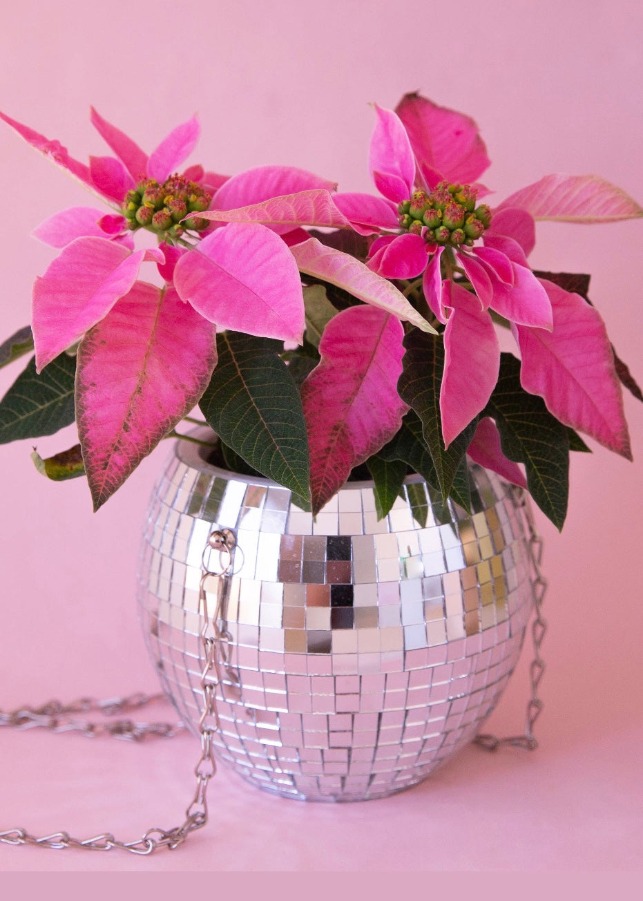 Dancing Queen 8" Disco Ball Hanging Planter